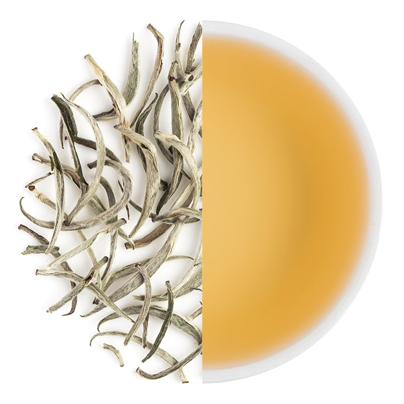 Silver Needles White Tea Buds